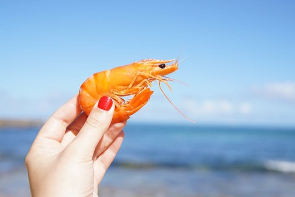Comment découvrir les traditions de la pêche à la crevette en Guyane française ?